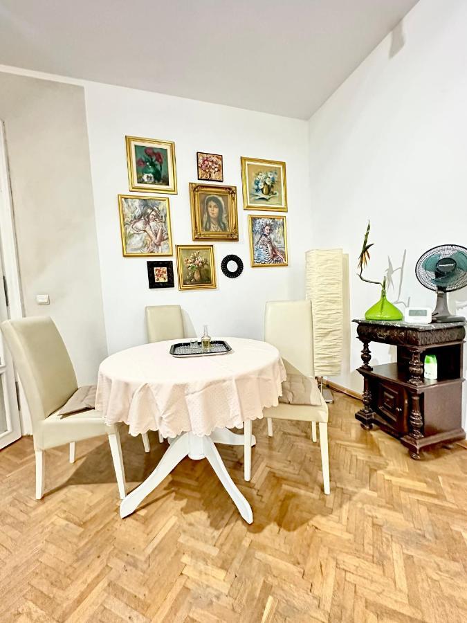 Charming Apartament City Center 티미쇼아라 외부 사진