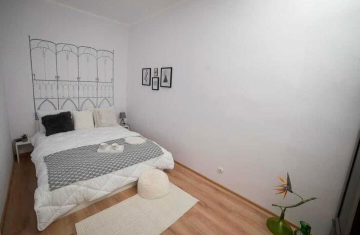 Charming Apartament City Center 티미쇼아라 외부 사진