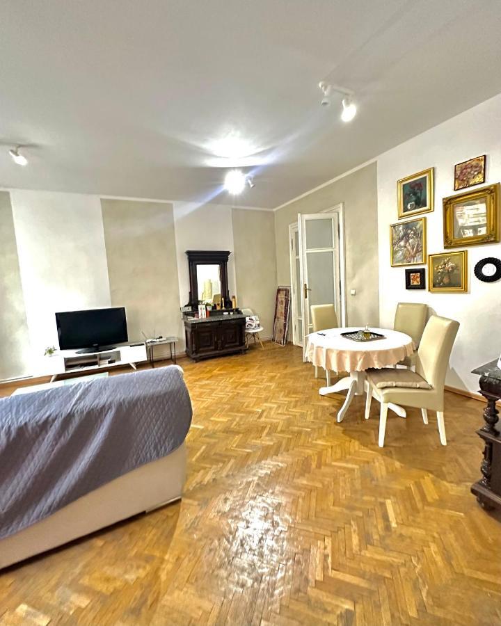 Charming Apartament City Center 티미쇼아라 외부 사진